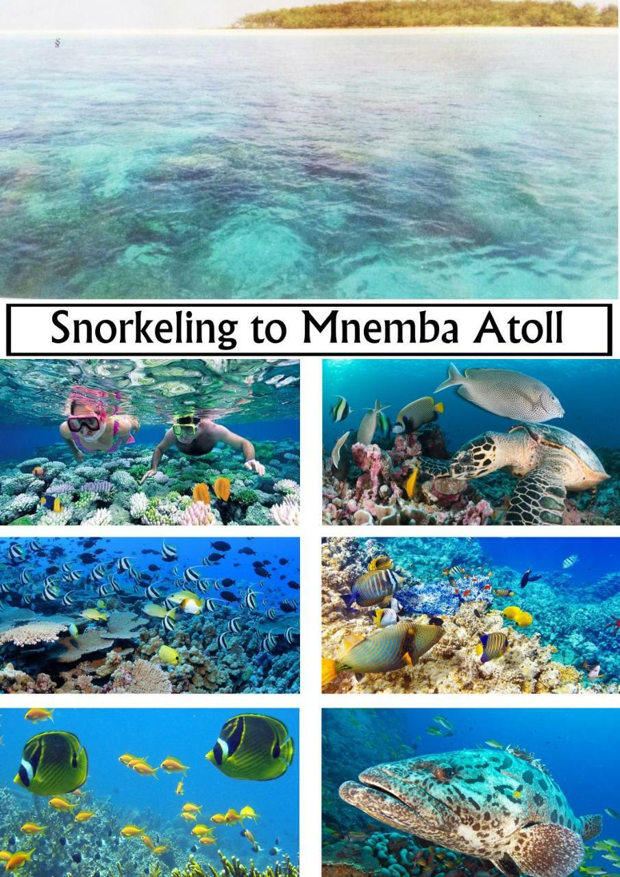 Baraka Aquarium Bungalows Nungwi Exterior foto