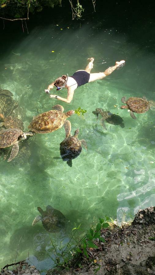 Baraka Aquarium Bungalows Nungwi Exterior foto